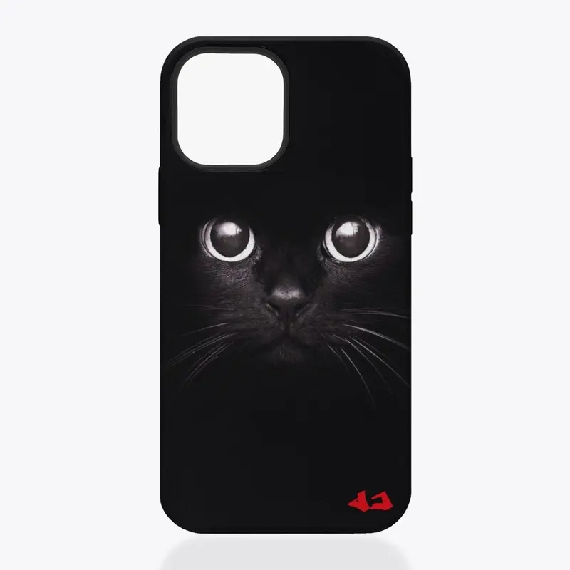 iPhone MagCase